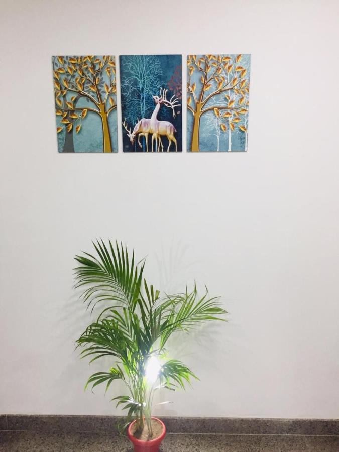 The Magnum Bed & Breakfast New Delhi Bagian luar foto